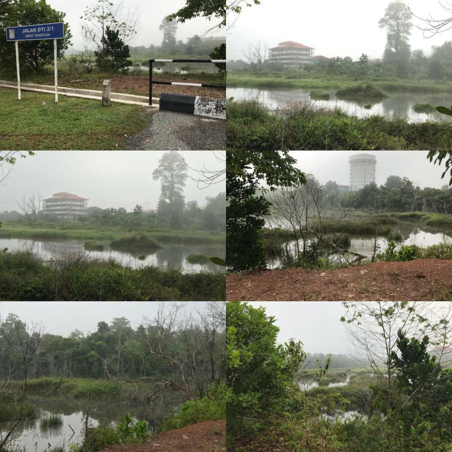 Patin Guest House @Desa Telok Ira, Temerloh Pahang Kampong Paya Kerinau Dış mekan fotoğraf